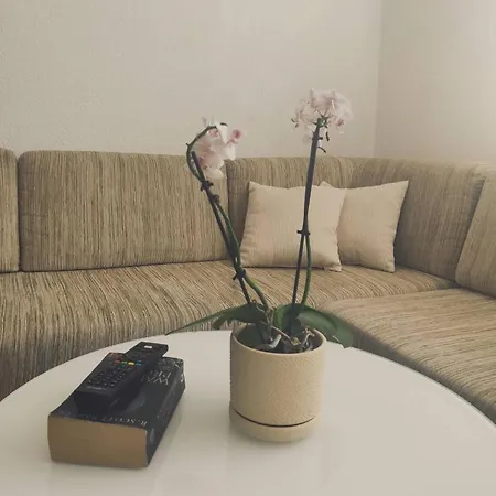 Apartment Ajsha